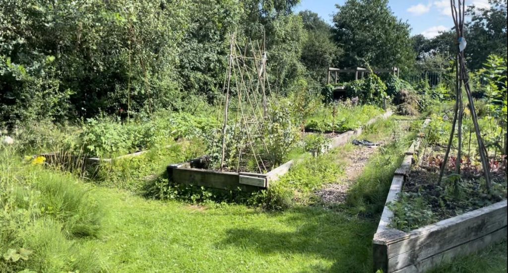 The Allotments Area. Photo Credit: Colleen Lamb