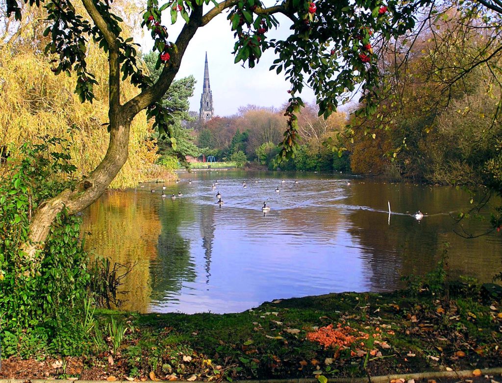 Broughton Park area