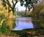 Consultation launched on community governance in Broughton Park area