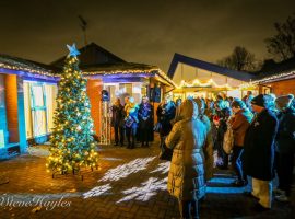 Remembrance Tree lighting up. Photo credits: Leanne Taylor