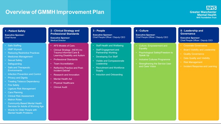 GMMH Improvement Plan Overview. Screenshot from GMMH Presentation.