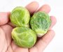 Salford environmentalist sparks debate over food waste this Christmas – “It’s not really much effort”