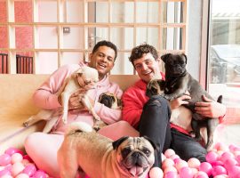 Unique pug cafe opens in Salford