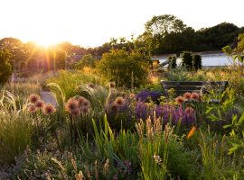 RHS Garden Bridgewater to host sustainable fashion cat walk