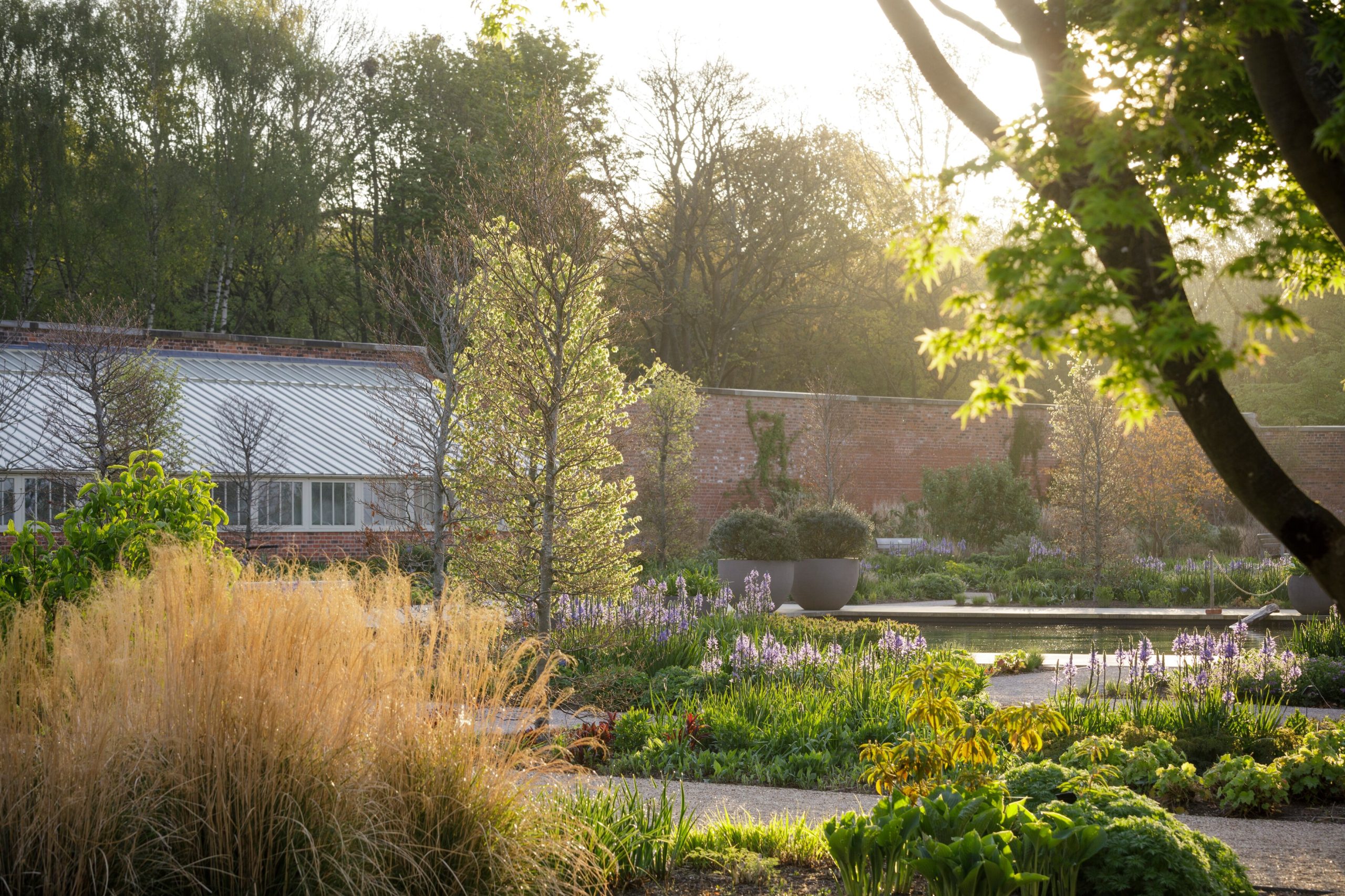 Free Tuesday entry for Salford residents visiting RHS Garden Bridgewater