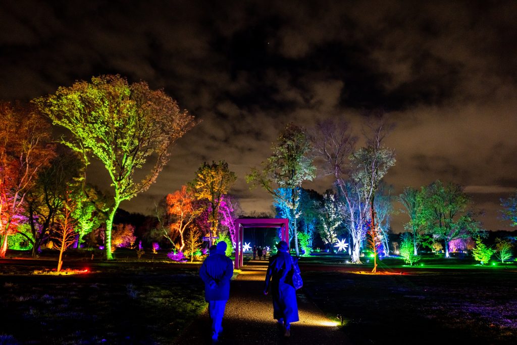 RHS GLOW in Bridgewater by Charlotte Graham...Location:.RHS GARDEN.BRIDGEWATER.SALFORD.-----.United Kingdom