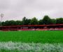Salford City pre-season friendly abandoned after players were subject to racial abuse