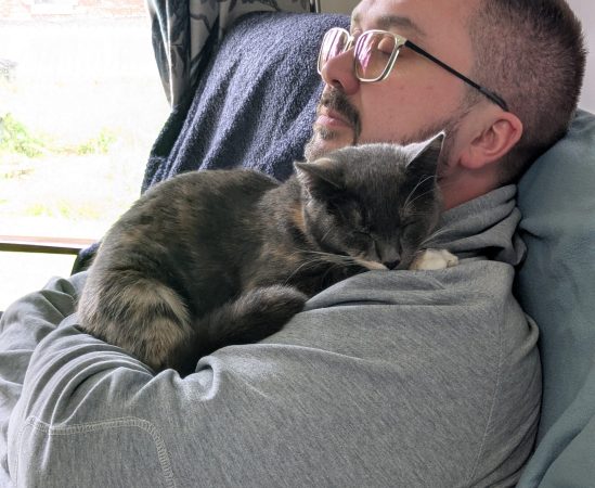 Life-saving surgery for family cats after shocking air rifle attacks