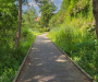Greener future planned for Salford as £2.6m in funding awarded to the North West