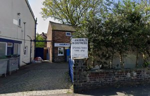 Image: Google images