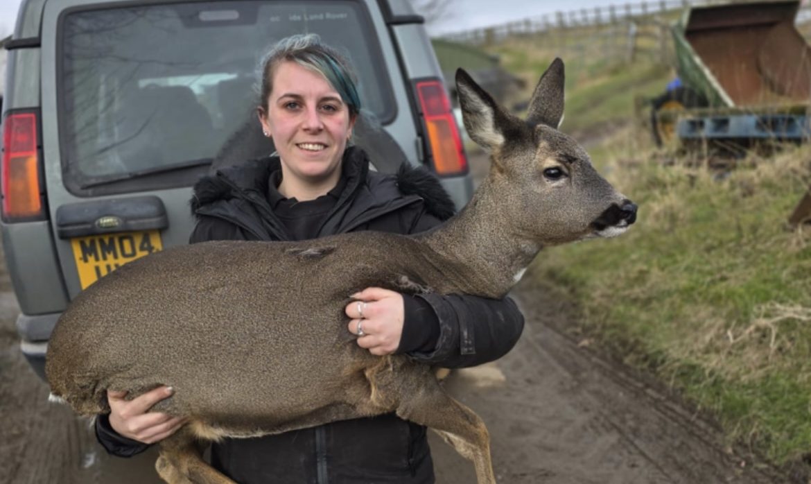 Salford animal charity in 'dire straits' as costs soar and vet bills mount up