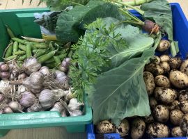Broughton residents take part in community gardening group