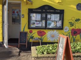 The Hive Wellbeing Hub (Elayna Towell, 2025)