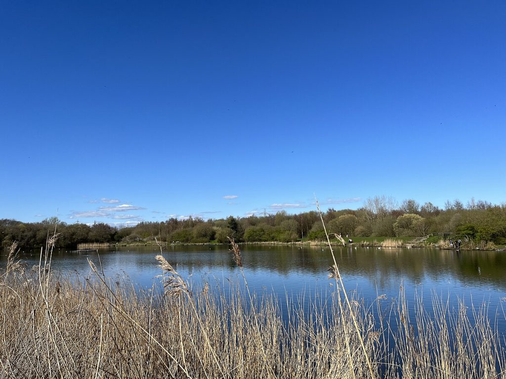Blackleach Country Park Resevoir (Wikimedia Commons, 2023)