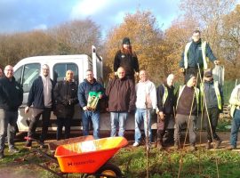 Image by Walkden in Bloom