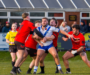 Swinton Lions avoid shock Challenge Cup exit at Ince Rose Bridge